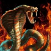 Cobra Classic Rock